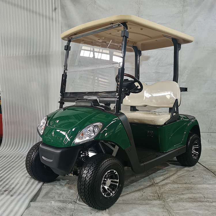 Kréta golf listrik 2 kursi sing kuat, dilengkapi baterei lithium