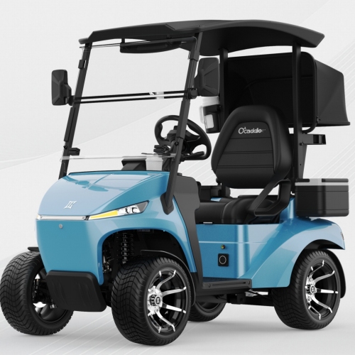 Grosir gerobak golf kursi tunggal kanthi baterei lithium 48V. Baterei lithium kanggo kreta golf listrik legal lan praktis.